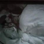 BBNaija Chinwe and Zion Bedroom Kissing Video