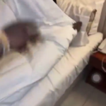 Bottosgod Hotel Room Video