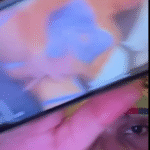 Janina Modica Leaked Video