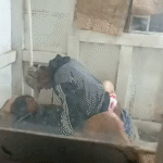Fucking Married Woman Everyday